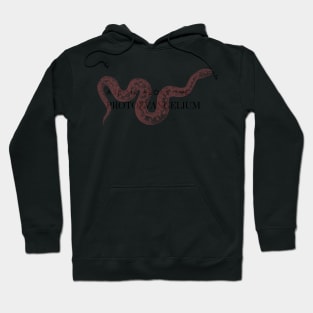 ask me about the protoevangelium, pink snake Hoodie